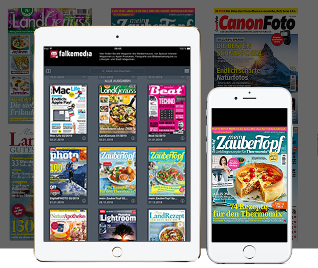 falkemedia - 6 Mon. Fullflat